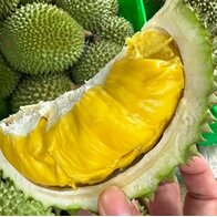 Xuất khẩu sầu riêng tăng 18 lần do nhu cầu từ Trung Quốc