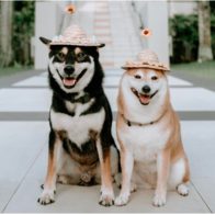 Sofitel nâng tầm du lịch gia đình với những trải nghiệm sáng tạo khắp châu Á