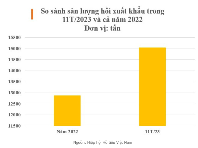 Ấn Độ săn lùng sản vật quý hiếm của Việt Nam gần như chỉ có tại 2 quốc gia: Trồng ít nhất 4 năm mới được thu hoạch, nước ta nắm sản lượng hàng nghìn tấn mỗi năm