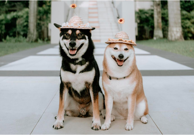 Sofitel nâng tầm du lịch gia đình với những trải nghiệm sáng tạo khắp châu Á